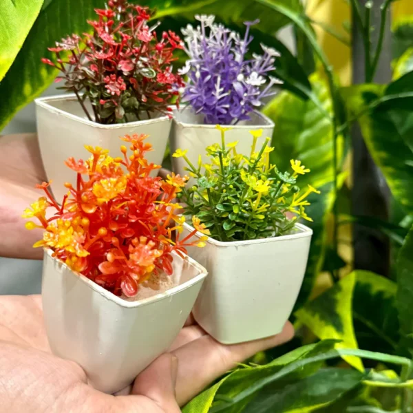 Set of 4 Mini Cute plants - Image 2